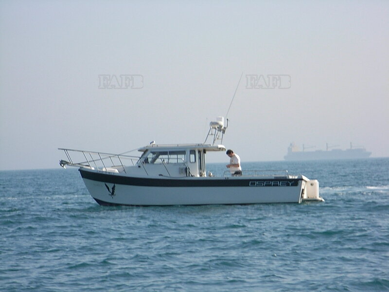 Large picture for advert 111324