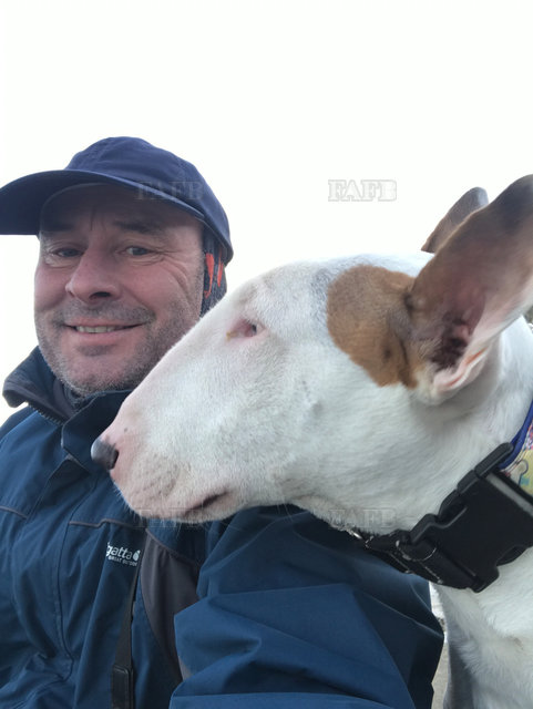 Large picture for advert 107274