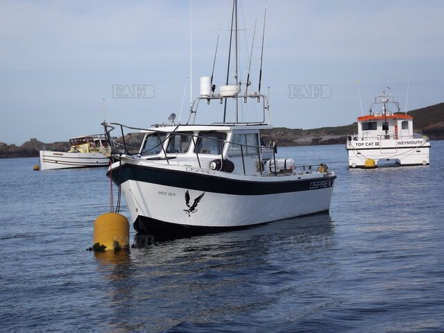 Large picture for advert 111324