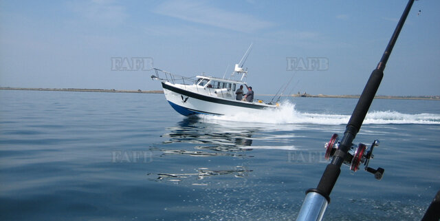 Large picture for advert 111324