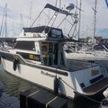 Extra picture for advert 116874