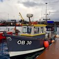 Extra picture for advert 102174