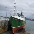 Extra picture for advert 108124